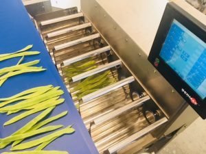sermax weigma ishida multipond yamato cabinplant marel newtec induser yeray manter osg filpack multicabezal multihead weigher combination combinatory asociativa pesadora metal detectable pom FDA ITW food automation