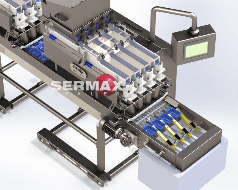 (EN) TEST/ LMB04 Complete Solution 35-40 Dpm on your packaging machine (8-10 steps/min of 4×1) - Imagen 5