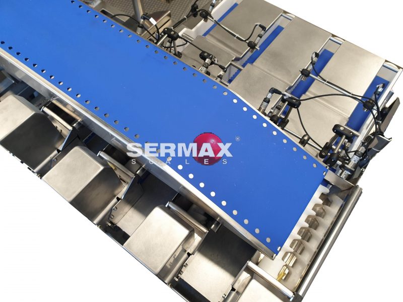 (EN) Servo Feeding Conveyor 1-6 Points Smart Feeding - Imagen 4