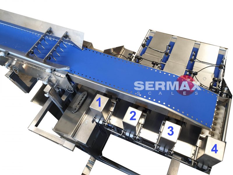 (EN) Servo Feeding Conveyor 1-6 Points Smart Feeding - Imagen 7
