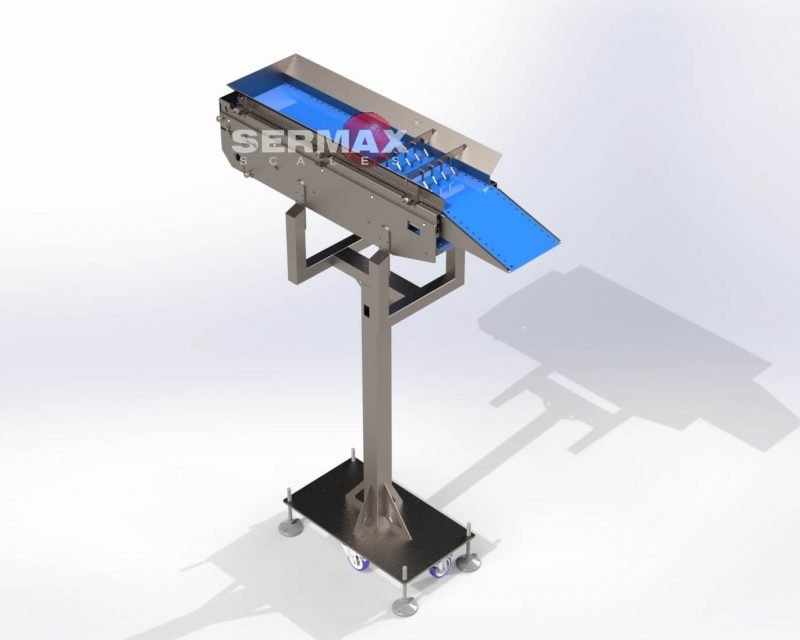 (EN) Servo Feeding Conveyor 1-6 Points Smart Feeding