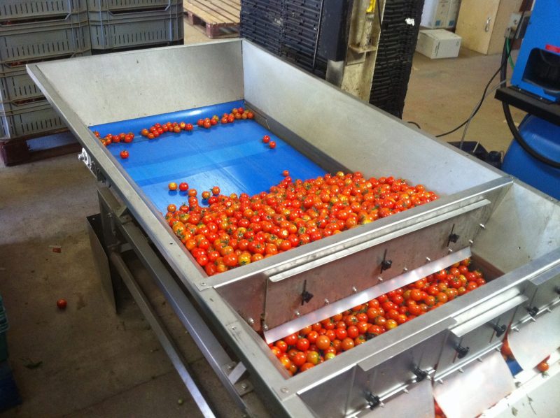 (EN) FLAT BELT FB100 LTS SERMAX ® FOR BUFFER - Imagen 3