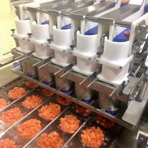 (EN) LMB 05 Linear Weigher 5 LINES / 35-45 dpm ( ( Add for Inquiry )