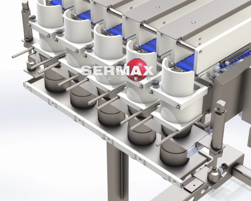 (EN) LMB 06 Filling Device for trays/Cups - Imagen 2