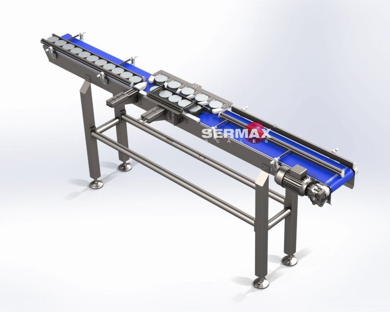 (EN) Conveyor Step by Step motion for packaging / Trays or cups /