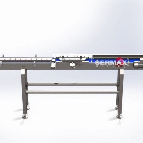 (EN) CROSS CONVEYOR FOR PORTIONS FEEDING TO A PACKAGING MACHINE  /  SERMAX ®