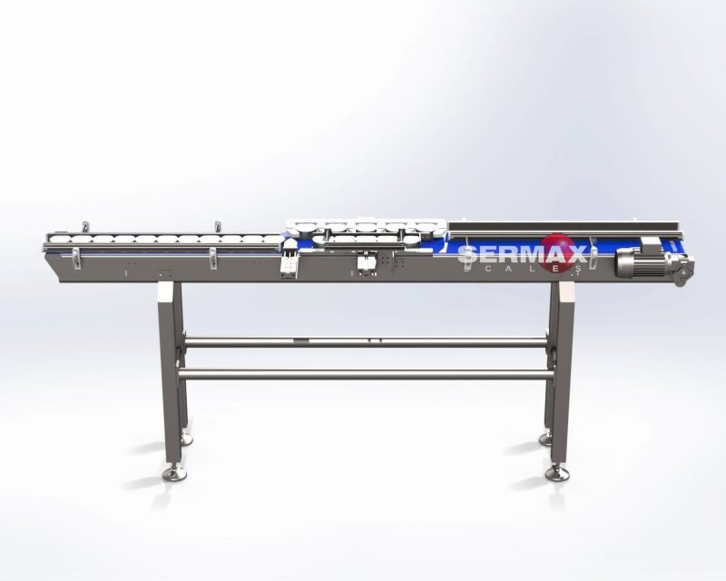 (EN) CROSS CONVEYOR FOR PORTIONS FEEDING TO A PACKAGING MACHINE  /  SERMAX ®