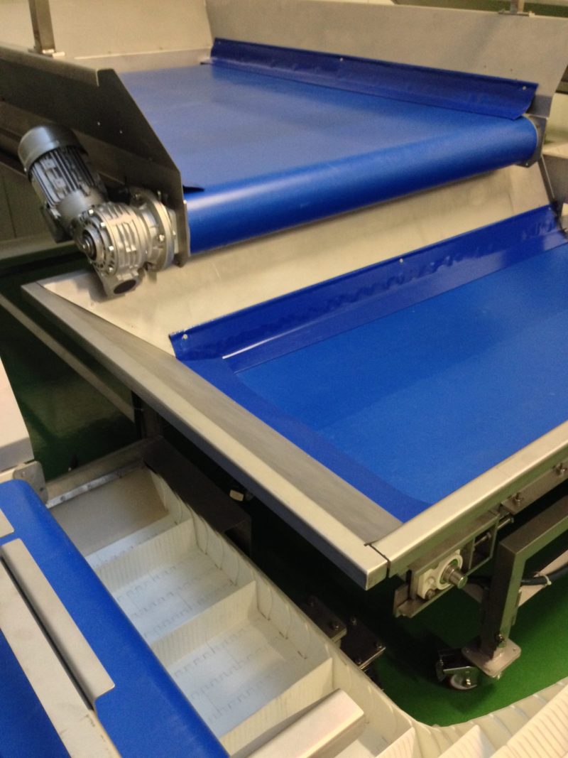 (EN) FLAT BELT FB100 LTS SERMAX ® FOR BUFFER - Imagen 6