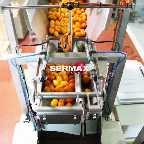 LW-01 Pesadora Lineal a Vibración / 1 cabezal  / SERMAX®Hasta 2 Kg (7-10 dpm)