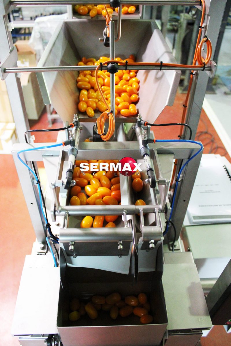 (EN) LW-01 Linear Vibration Weigher / 1 head / SERMAX® Up to 2 Kg (7-10 dpm) - Imagen 2