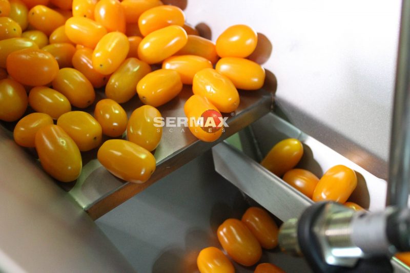 sermax weigma ishida multipond yamato cabinplant marel newtec induser yeray manter osg filpack multicabezal multihead weigher combination combinatory asociativa pesadora metal detectable pom FDA ITW food automation