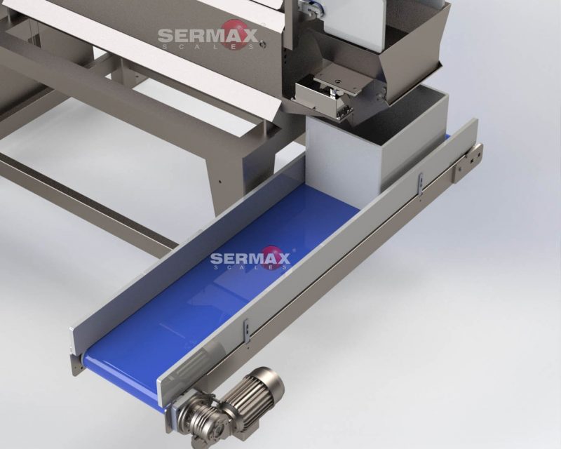 (EN) LWB-01 Linear Weigher with conveyor belts / 1 head / SERMAX® Up to 20 Kg (10-12 dpm) - Imagen 3