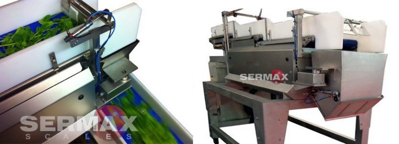 (EN) LWB-01 Linear Weigher with conveyor belts / 1 head / SERMAX® Up to 20 Kg (10-12 dpm) - Imagen 9
